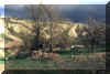 ciel_noir_sur_ane.jpg (72547 octets)