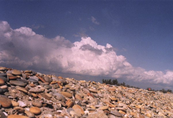 paysage1.jpg (49358 octets)