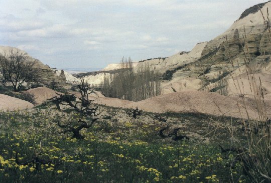 paysage2.jpg (58841 octets)