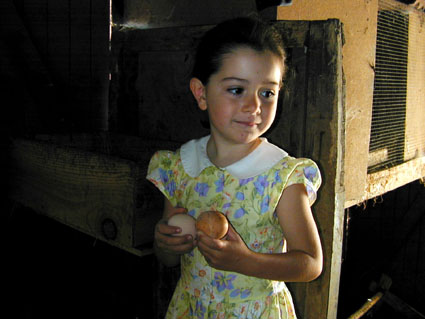 Lucie_au_oeufs_27_07_2000.jpg (38285 octets)