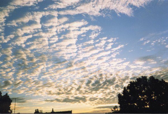 nuages_du_soir_1.jpg (55694 octets)