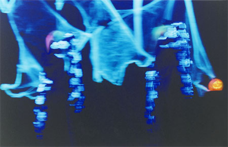 danse7.jpg (34230 octets)