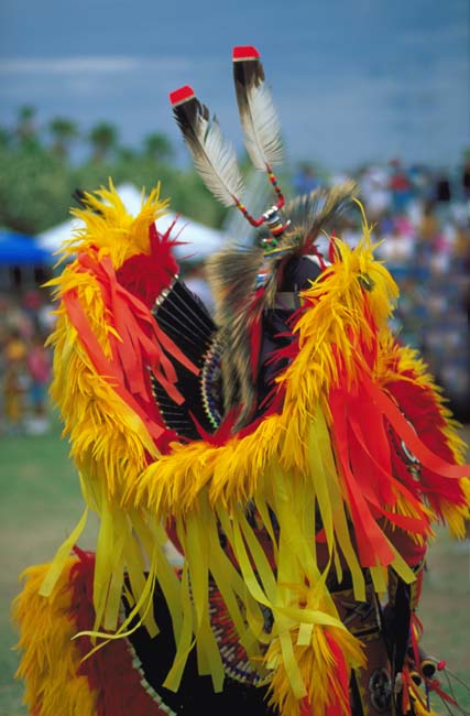 2001_indien_8.jpg (51904 octets)