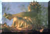 miroir.jpg (40100 octets)