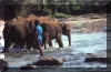 sri_lanka_toilette_elephants.jpg (57660 octets)